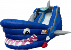 Shark Tank 18' Water Slide