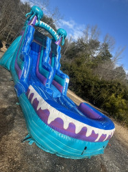 ELECTRIC 15 FT SLIDE   WET ONLY